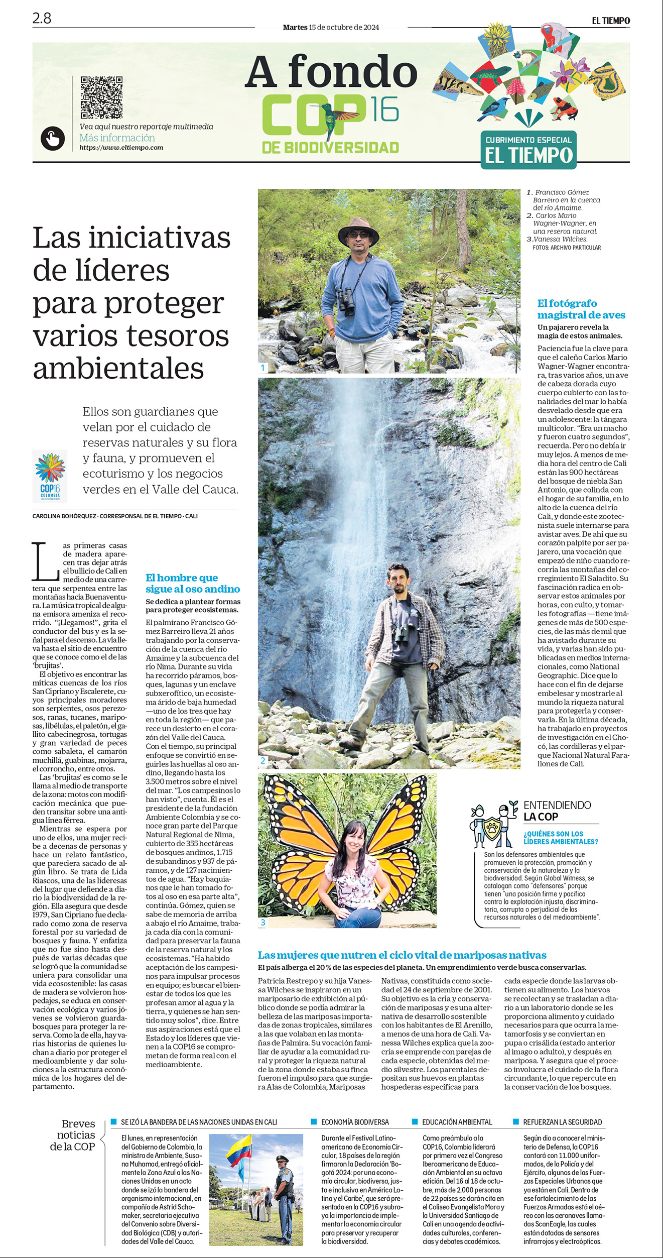De a poco, la deforestación va destruyendo el bosque virgen de la Amazonia, sin que nada pueda frenarla.