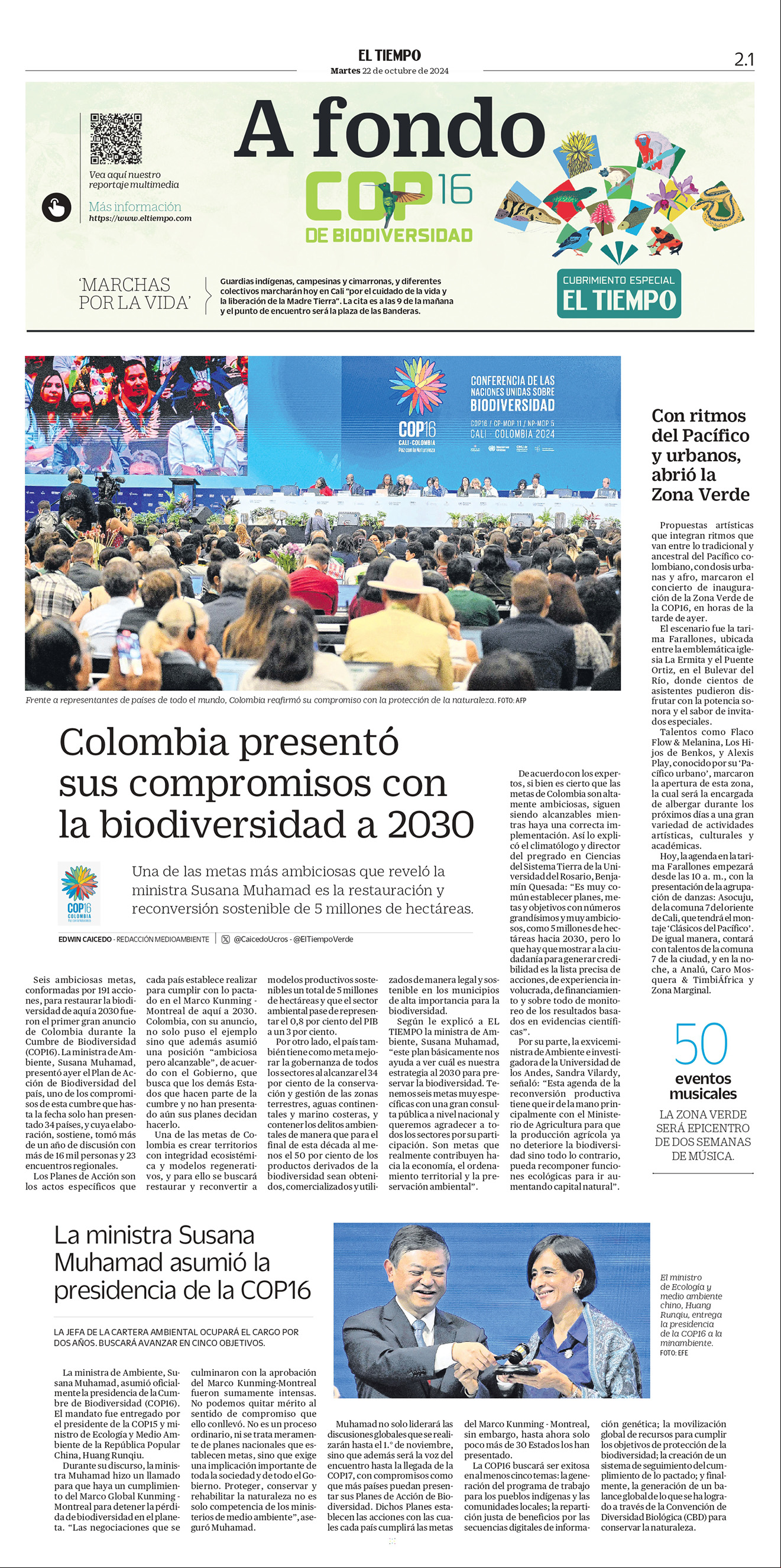 De a poco, la deforestación va destruyendo el bosque virgen de la Amazonia, sin que nada pueda frenarla.