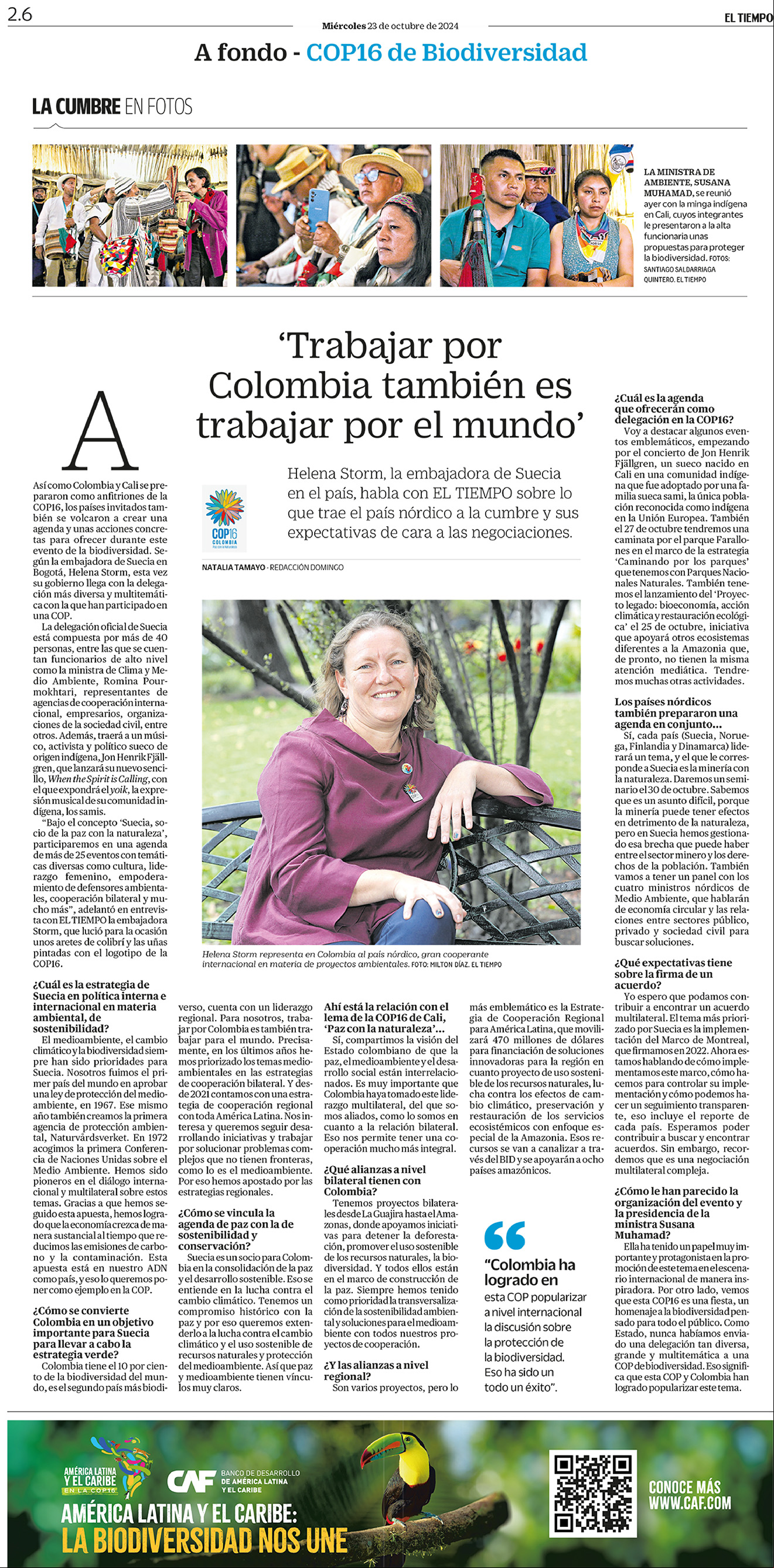 De a poco, la deforestación va destruyendo el bosque virgen de la Amazonia, sin que nada pueda frenarla.
