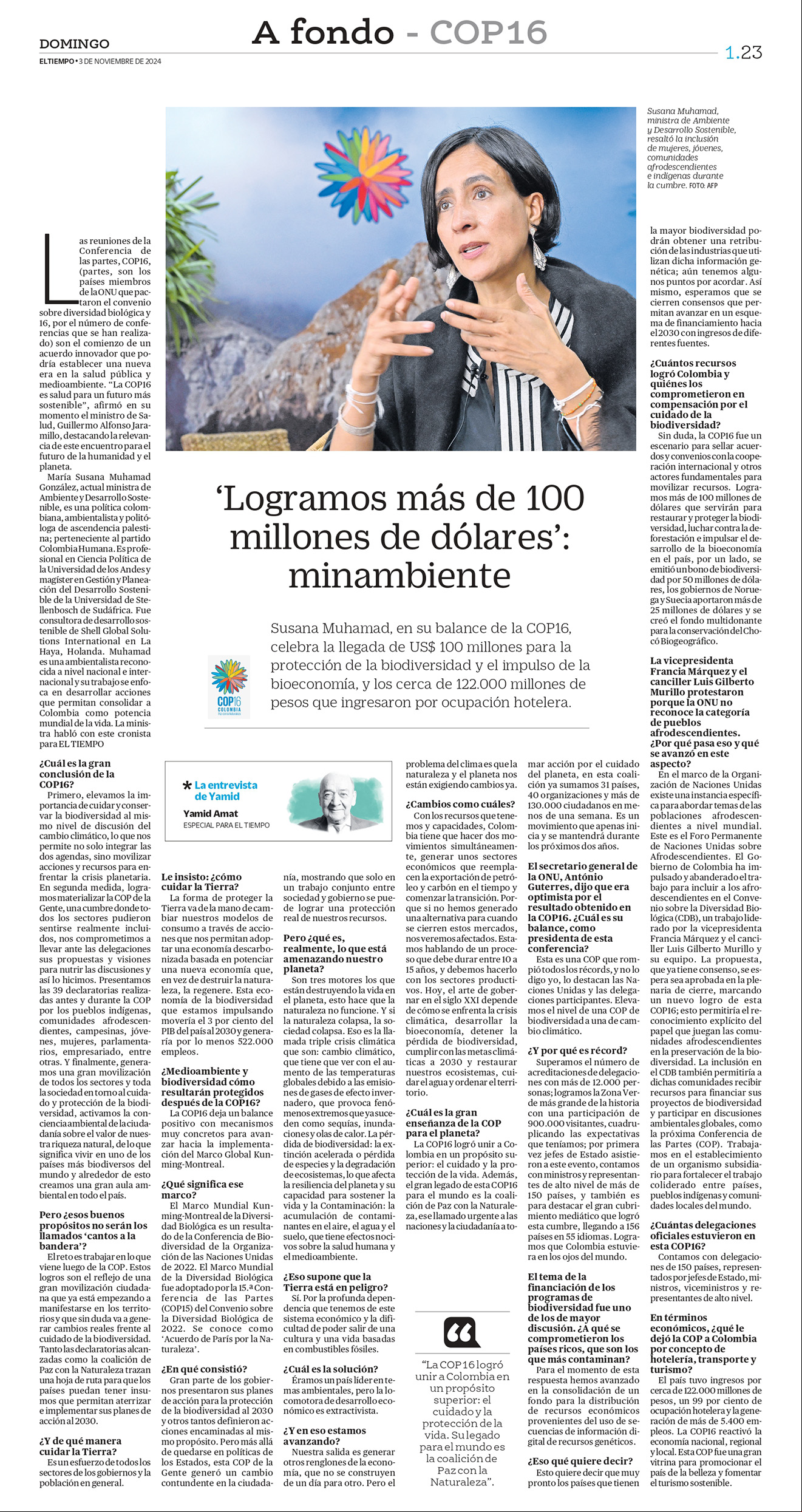 De a poco, la deforestación va destruyendo el bosque virgen de la Amazonia, sin que nada pueda frenarla.
